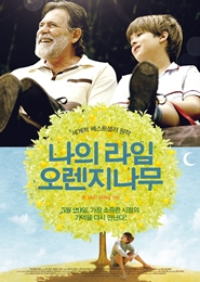 이벤트오렌지나무 이미지