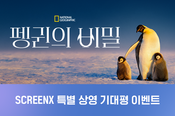 전체 [펭귄의 비밀] 
기대평 이벤트