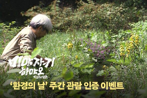 [미야자키 하야오]
환경의 날 관람 인증 이벤트
