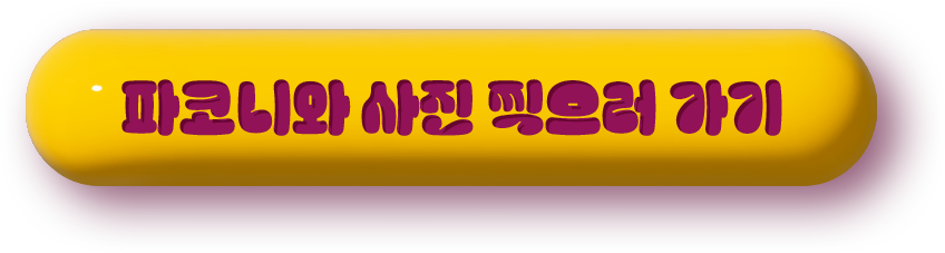 파코니와 사진찍으러 가기